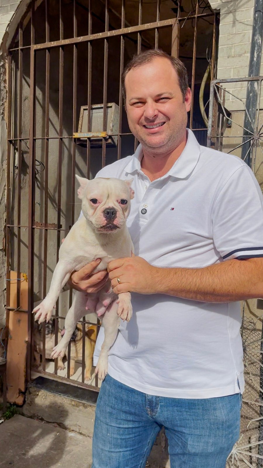 Causa Animal